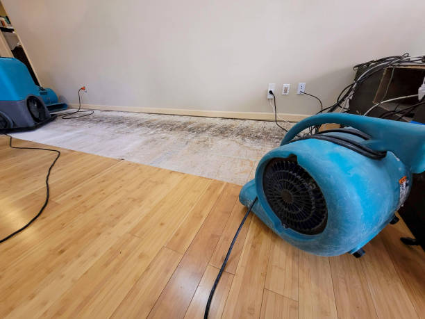 Reliable Basement Flood Cleanup contractor in Hyannis, MA by Hirex Water Damage
