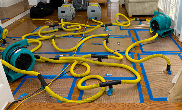Professional Basement Flood Cleanup technician working in Hyannis, MA